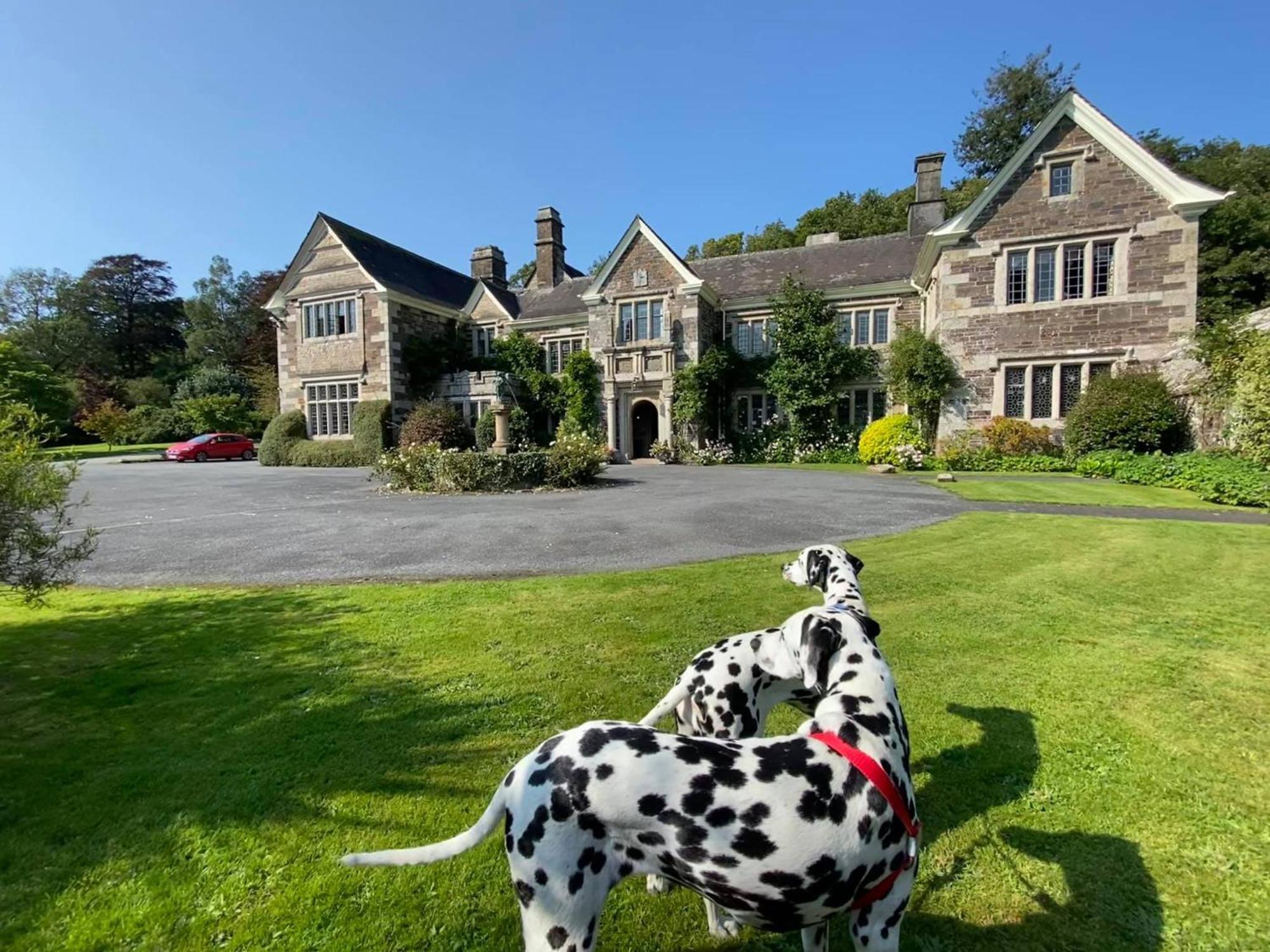 فندق Lewtrenchard Manor المظهر الخارجي الصورة